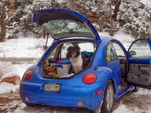 Jett refusing to come out into the snow